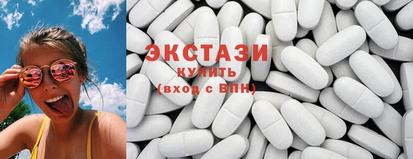 spice Богородицк