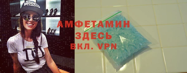 spice Богородицк