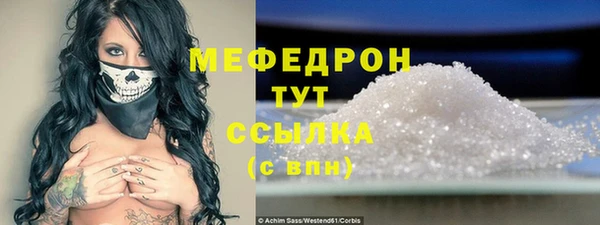 spice Богородицк
