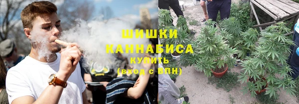 spice Богородицк