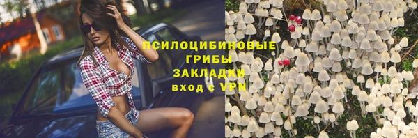 соль ск Семилуки