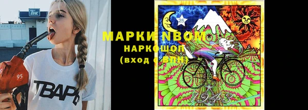spice Богородицк
